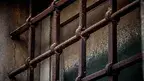 f8f2e7063ed446ecbbcfd8e6c4efc552.webp