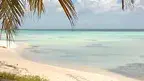 3443cb7c3b5c4d0fa762847a586f68df.webp