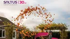 8b9937f646434b96a2acdd407e3d0ef4.webp