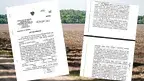 b11dfe0863d746d39f90f48fe3f038c9.webp
