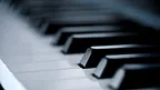 ce07f51ee84b441cad5c7a3a362ec152.webp