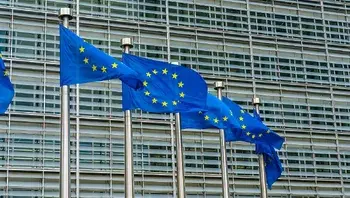 b3ab1c2e4a15465eb65021c594da2ac0.webp