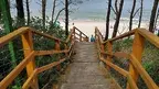 2183cf8c998d40db8781654cc2c9dc21.webp