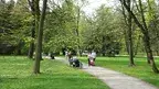 8f6fe112c40a49ca89b67265eb0fbe59.webp