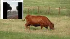 b7121c21b0934ee4b0caa1b35e495c07.webp