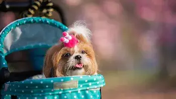 f0bb248f3d504b26bbdf78acc554a1e5.webp