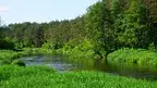 043a69f949054aaf9c58e435d9971226.webp