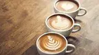68170d500790448d9595baae4825e613.webp