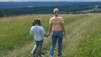 3039d8687f364b0da72433ba95cd82bb.webp