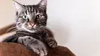 23aeeaacc8304b97a4e01c2a8d04401a.webp