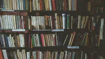 b8a2868801394207b626498c7c9fe2e4.webp