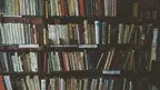 b8a2868801394207b626498c7c9fe2e4.webp