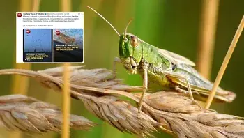 62ad07206bda44afa29c6626e83657e9.webp