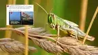 62ad07206bda44afa29c6626e83657e9.webp