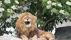 0c83fa2962ab4e91a8dad32c11ced577.webp