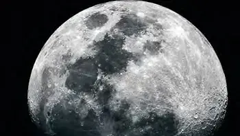 50b8ef42ea964e8bbfc05dee3fde254f.webp