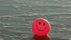 48d8d2682f8b441890713b7d0cf0a135.webp