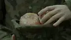 b48ce918114a4681804c0073936963c3.webp