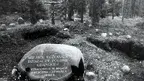 00b5ad9c3151462388cf2f83475a66fa.webp