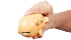 918f700f64cc481ca6f3e4431ee37eb4.webp