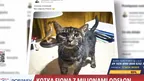 96d1defc51fc4309b44a8f8c26a20895.webp