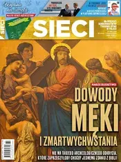 Zrzut ekranu Sieci Nr 14 173847.webp