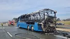 55d628c5b3334c998d00fb00d176a052.webp