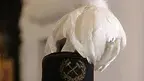 6f843bf16b8d4485946722f2421d64af.webp