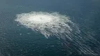b797629d747643d0a23088662e24052c.webp