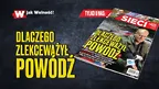 2f449104b61d45c9aa68b6acedb72183.webp