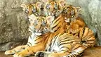 3669bdf921d647e59bc8eede4e07eacc.webp