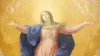 fc840c02c9424421968b8c51cfe12135.webp