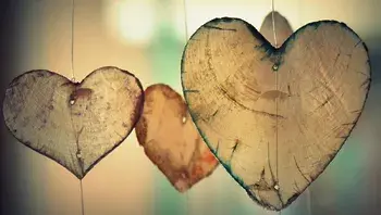 2d13557ab1ef4fa08faf4877ac6da6b3.webp