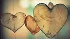2d13557ab1ef4fa08faf4877ac6da6b3.webp