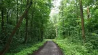 897a70a377fc4d51bd1add869b808a4c.webp