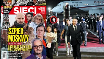 27703afdac85409798741ef9425bf39a.webp