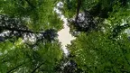 06c2b0e9631f4bdbb4d471e3a65d8c66.webp