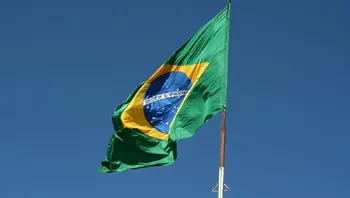 84d0a17de3864607898226948ea199bc.webp
