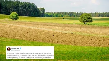 c259b328170a4972886b8e7df2fcd537.webp