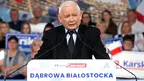 bb1354989aa24d84b6b8c7d5a90db641.webp