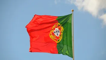 49ba5dd722124e48b1eedf8947eda177.webp