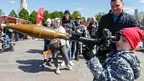 affc07ae7e8040609b2f4c7fc5dd5750.webp