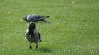 76f2d822608844649127224005140a1c.webp