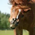 MTIweDEyMC9jX2MvdV8xL2NjXzUxN2FmL3AvMjAyMC8wNy8xNS84MDAvODAwLzQ4NTY5NWYxMjExMDQxMmVhOTQyMzRjZTZkZDJjNzMyLnBuZw.webp