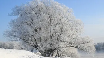 8cf91d96104c49019104ded7605af2a0.webp