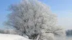 8cf91d96104c49019104ded7605af2a0.webp