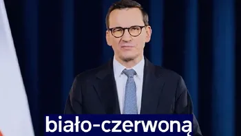 0169359cd413421ab654210e1aa9ec61.webp