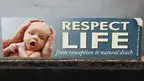 6dff8f57c28b4493b5da0ea9c6741873.webp