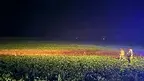 1dd0fa4ffb734b389a37fb23106d0059.webp