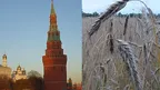 5f611343a3f24d1ab05ec91089d8840b.webp